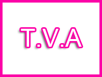 Convertisseur TVA (France)